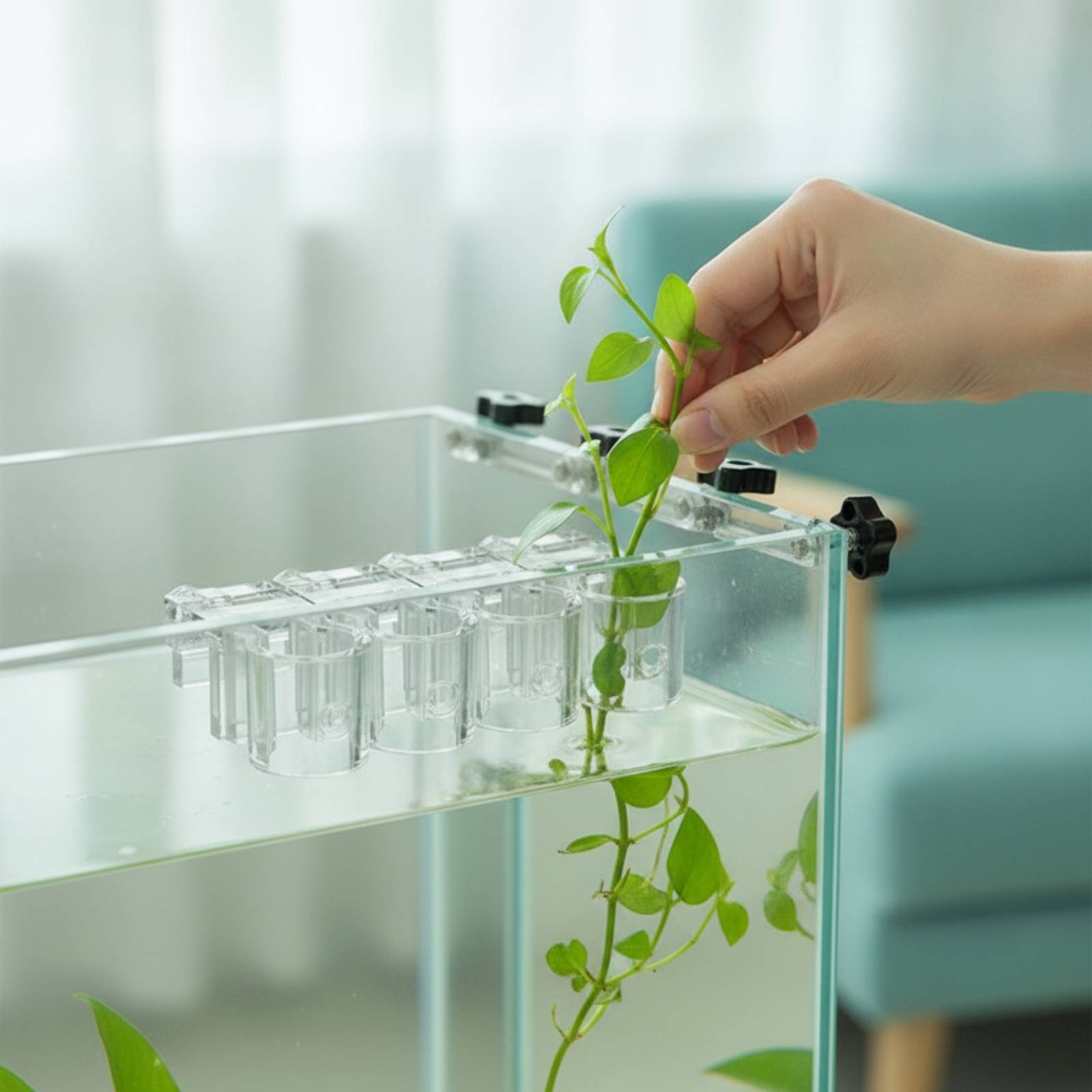Aquarium Planted - 6 Peças de Suporte Hidropônico Transparente