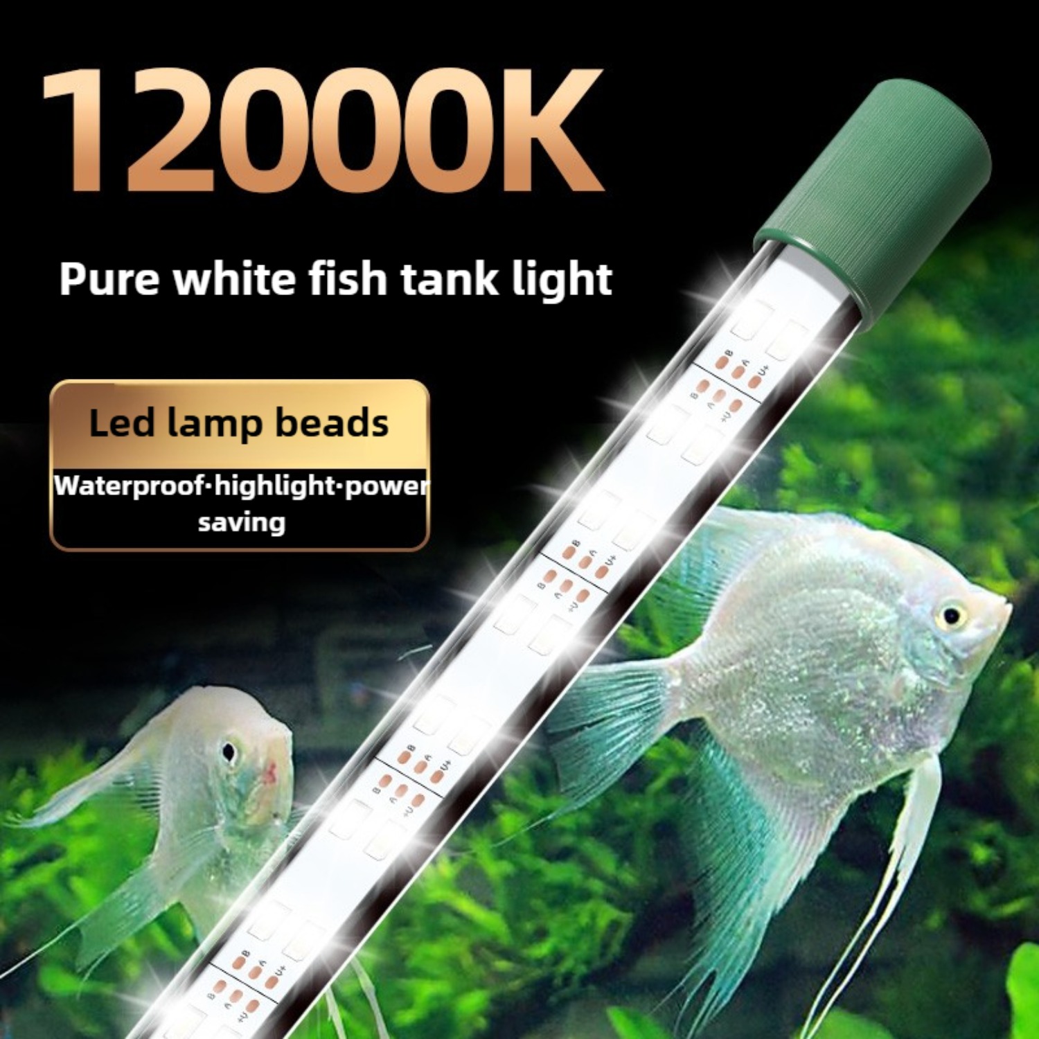 Planted Aquarium Youtube - Tubo de luz led para aquário,