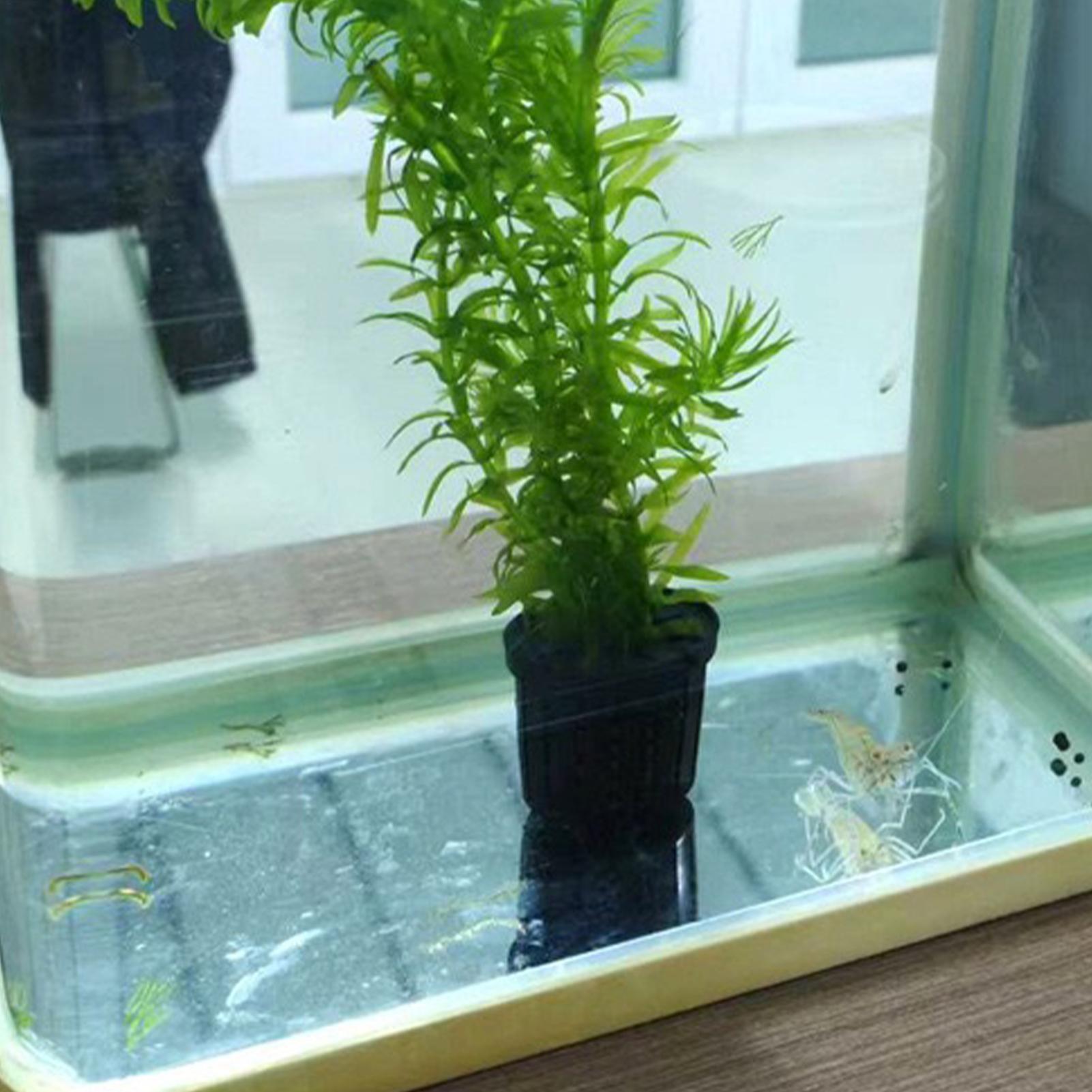 Aquarium Planted Background - Conjunto de 4 Cestos Hidropônicos para
