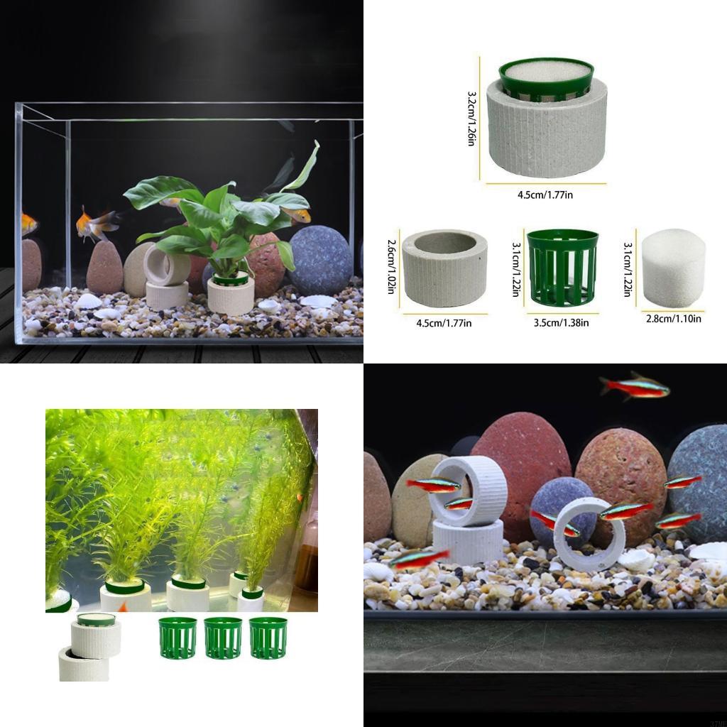 Aquarium Planted Background - 37me 10 peças conjunto anéis fixos