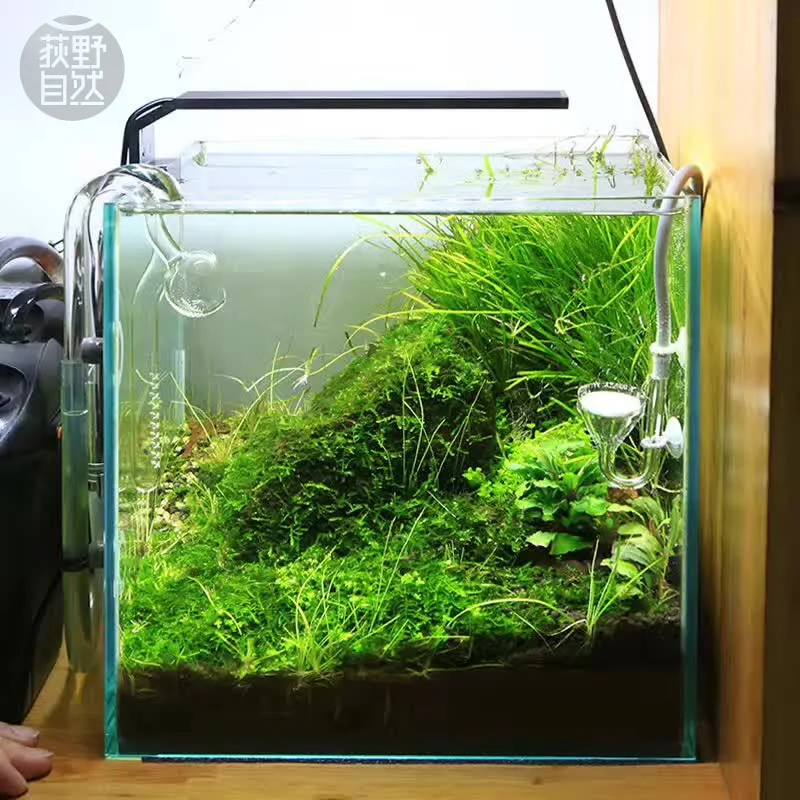 Aquarium Plant Growth Light - Chihiros Série C ADA Estilo Planta