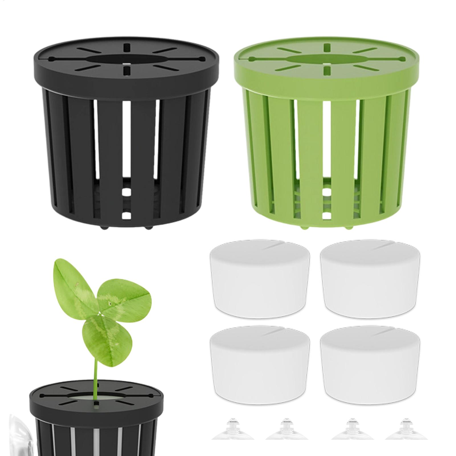 Aquarium Planted Background - Conjunto de 4 Peças de Plantas