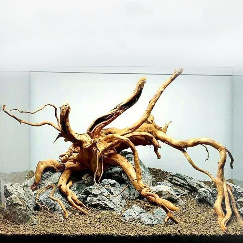 Aquarium Plant Roots - Tronco de Madeira Natural Grande para