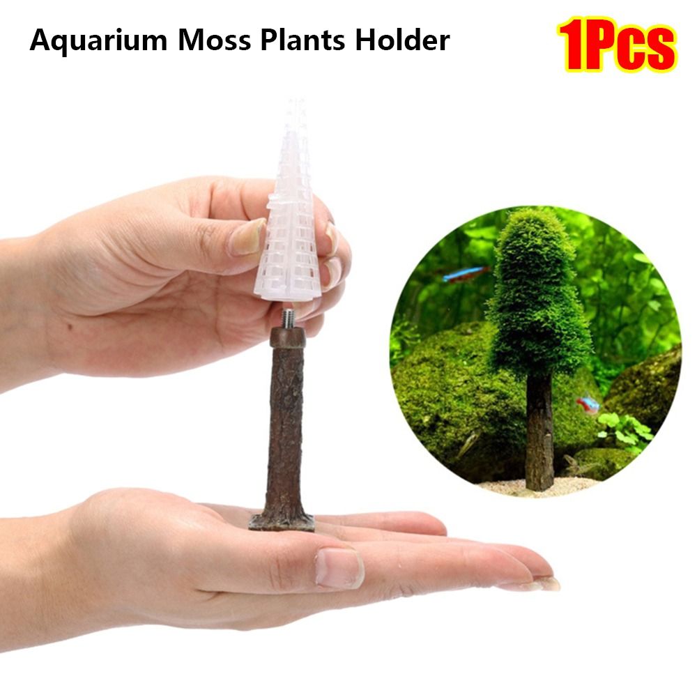 Aquarium Planted Background - Suporte para Plantas de Musgo em
