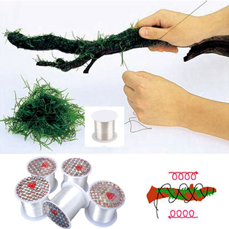 Aquarium Plant Echinodorus - 120m diy linha de musgo linha
