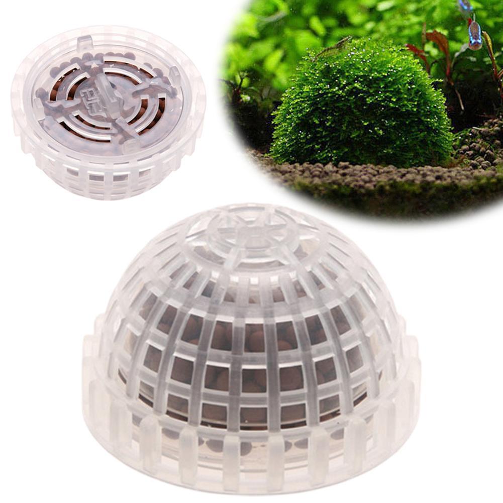 Aquarium Plant Echinodorus - 1pc aquático suprimentos para animais de