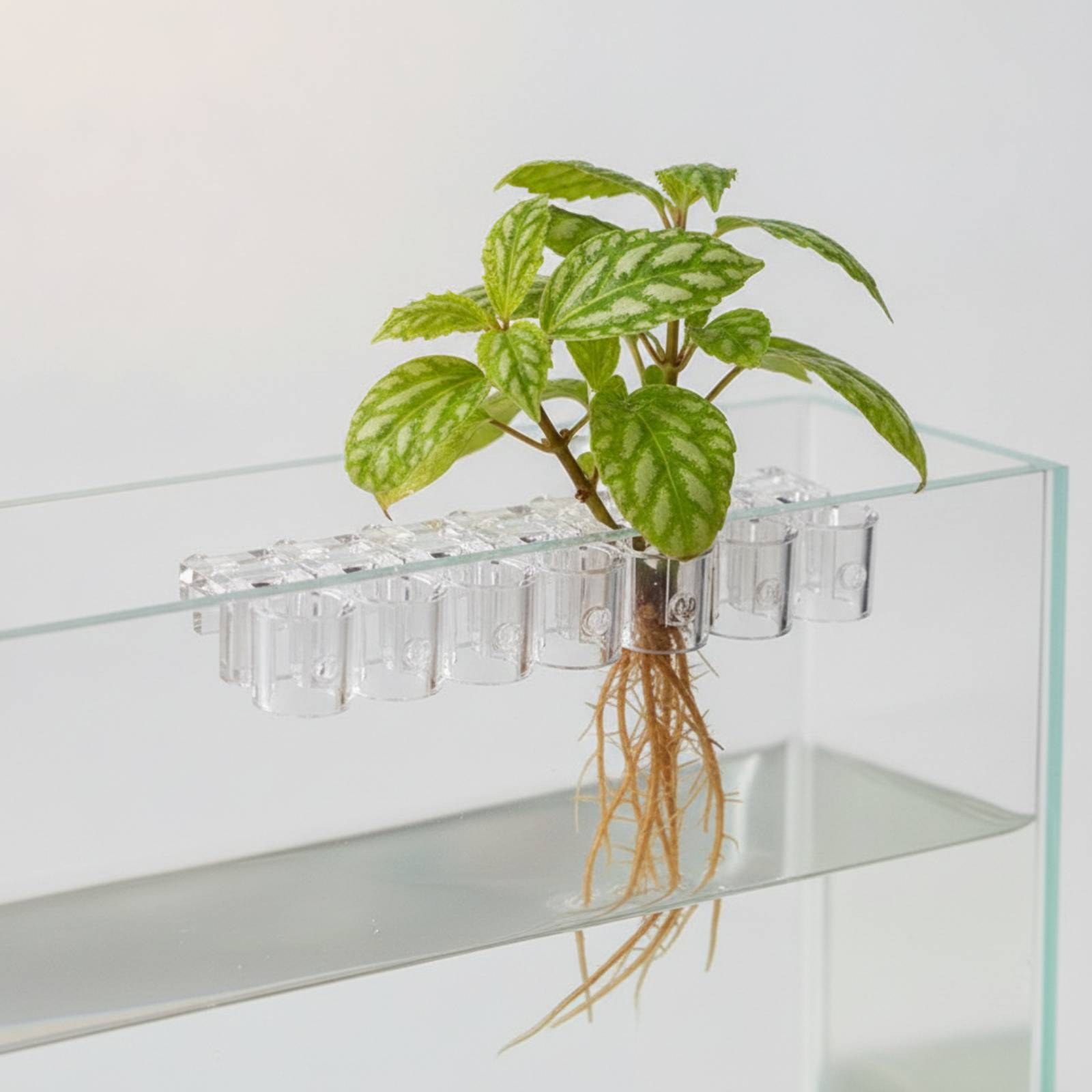 6 Peças de Suporte Hidropônico - Aquarium Planted avaliação e preço