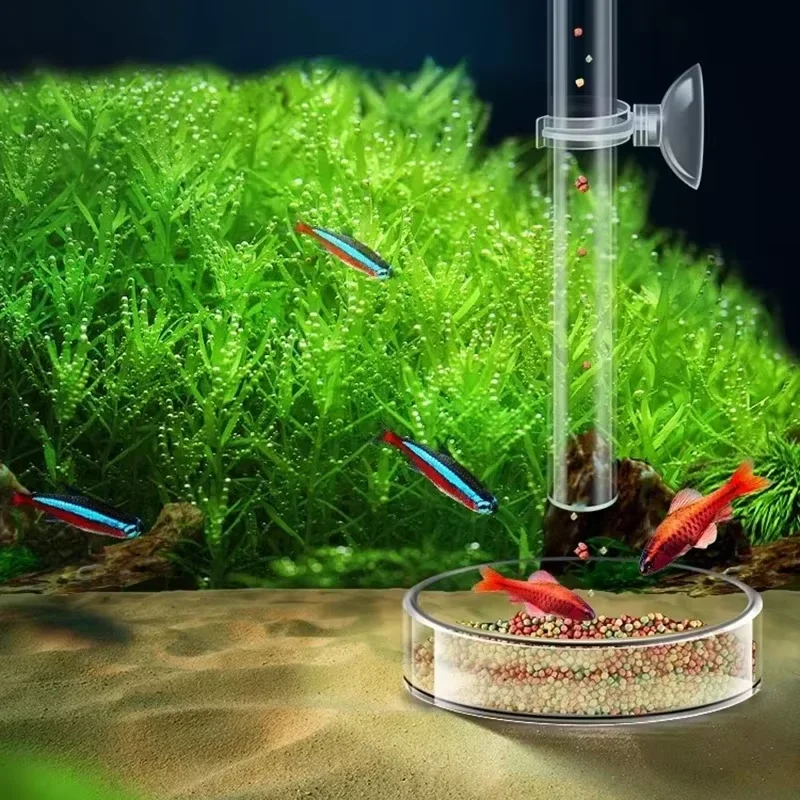 Conjunto de Tubo de Alimentaçã - Planted Aquarium Youtube avaliação e preço
