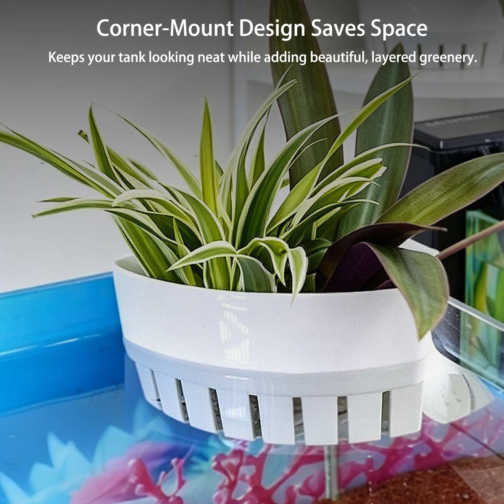 Cesto para Plantas de Aquário, - Aquarium Planted Background avaliação e preço