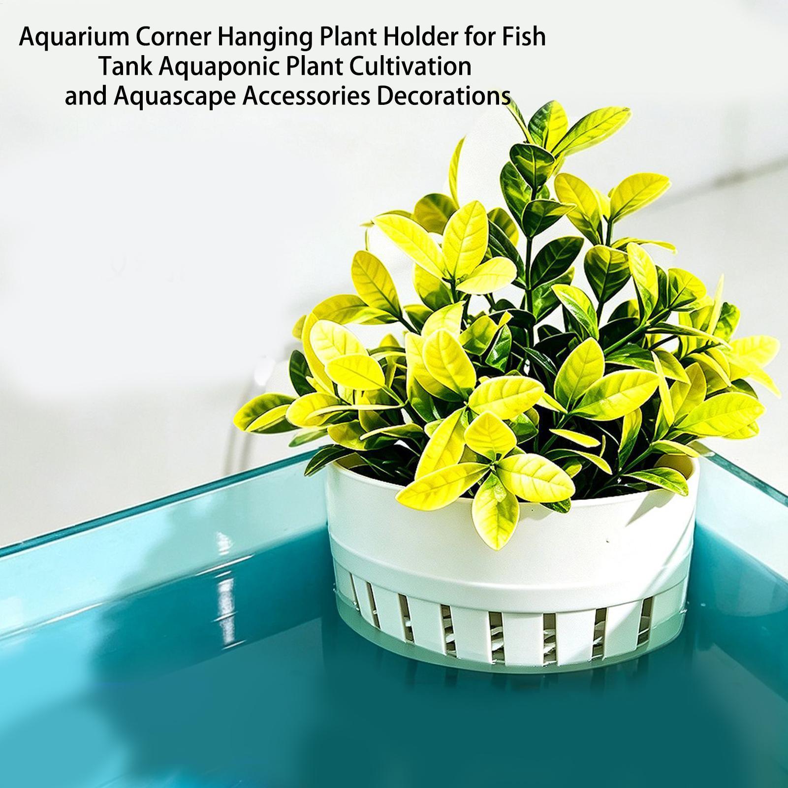 Cesto para Plantas de Aquário, - Aquarium Planted Background avaliação e preço