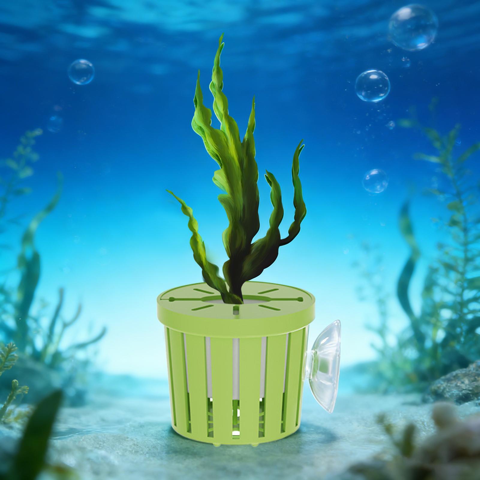 Conjunto de 4 Cestos Hidropôni - Aquarium Planted Background avaliação e preço