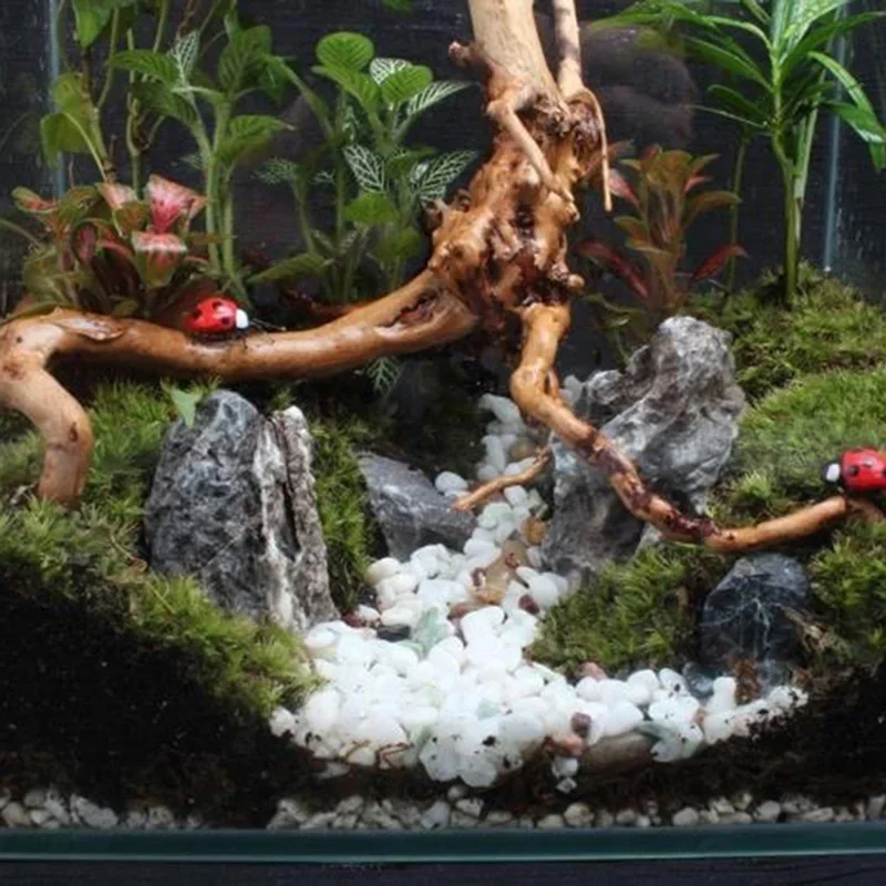 Natural Tree Tronco Driftwood  - Aquarium Plant Roots avaliação e preço