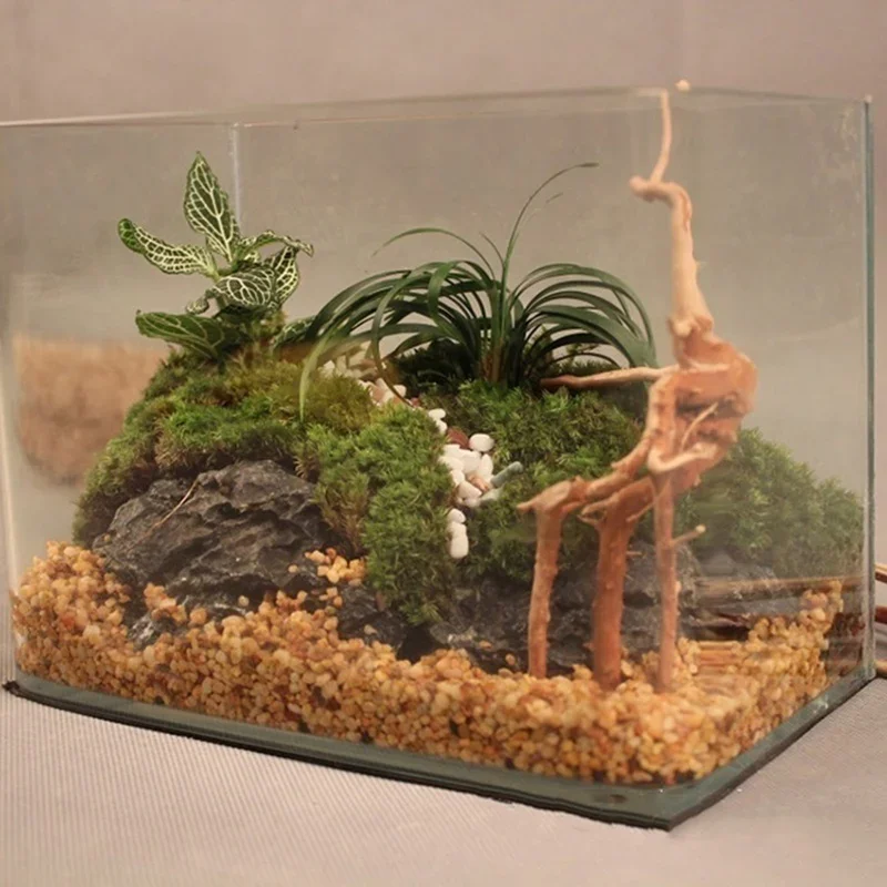 Natural Tree Tronco Driftwood  - Aquarium Plant Roots avaliação e preço