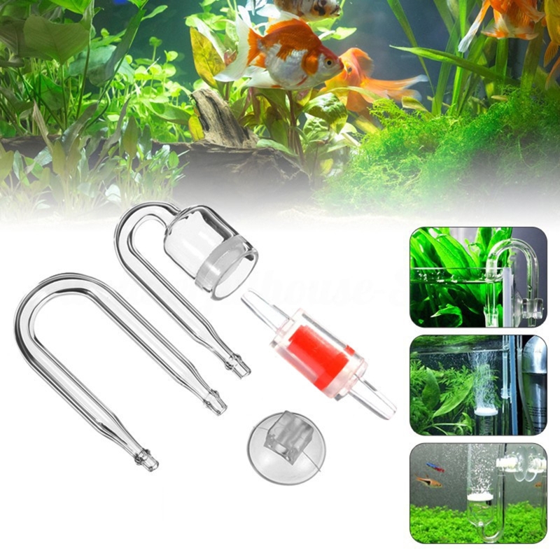 CO2 Difusor para Aquário, DIY  - Aquarium Plant Echinodorus avaliação e preço