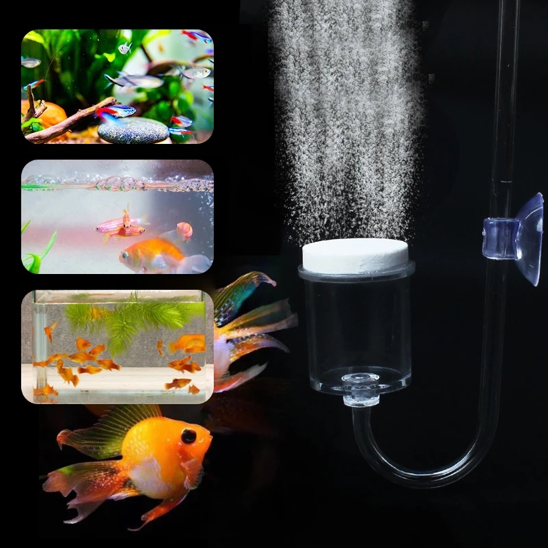CO2 Difusor para Aquário, DIY  - Aquarium Plant Echinodorus avaliação e preço