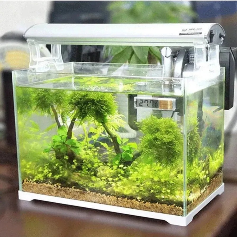 1pc termômetro de aquário elet - Planted Aquarium Temperature avaliação e preço