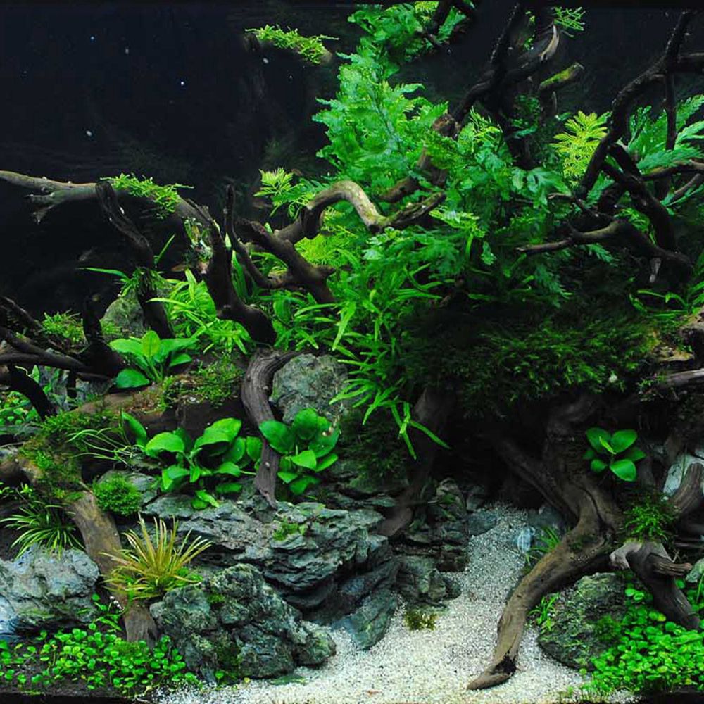 Tronco de Madeira Natural N1N  - Aquarium Planted Background avaliação e preço