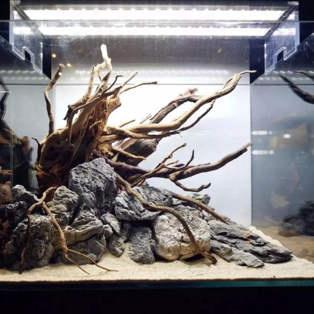 Tronco de Madeira Natural N1N  - Aquarium Planted Background avaliação e preço