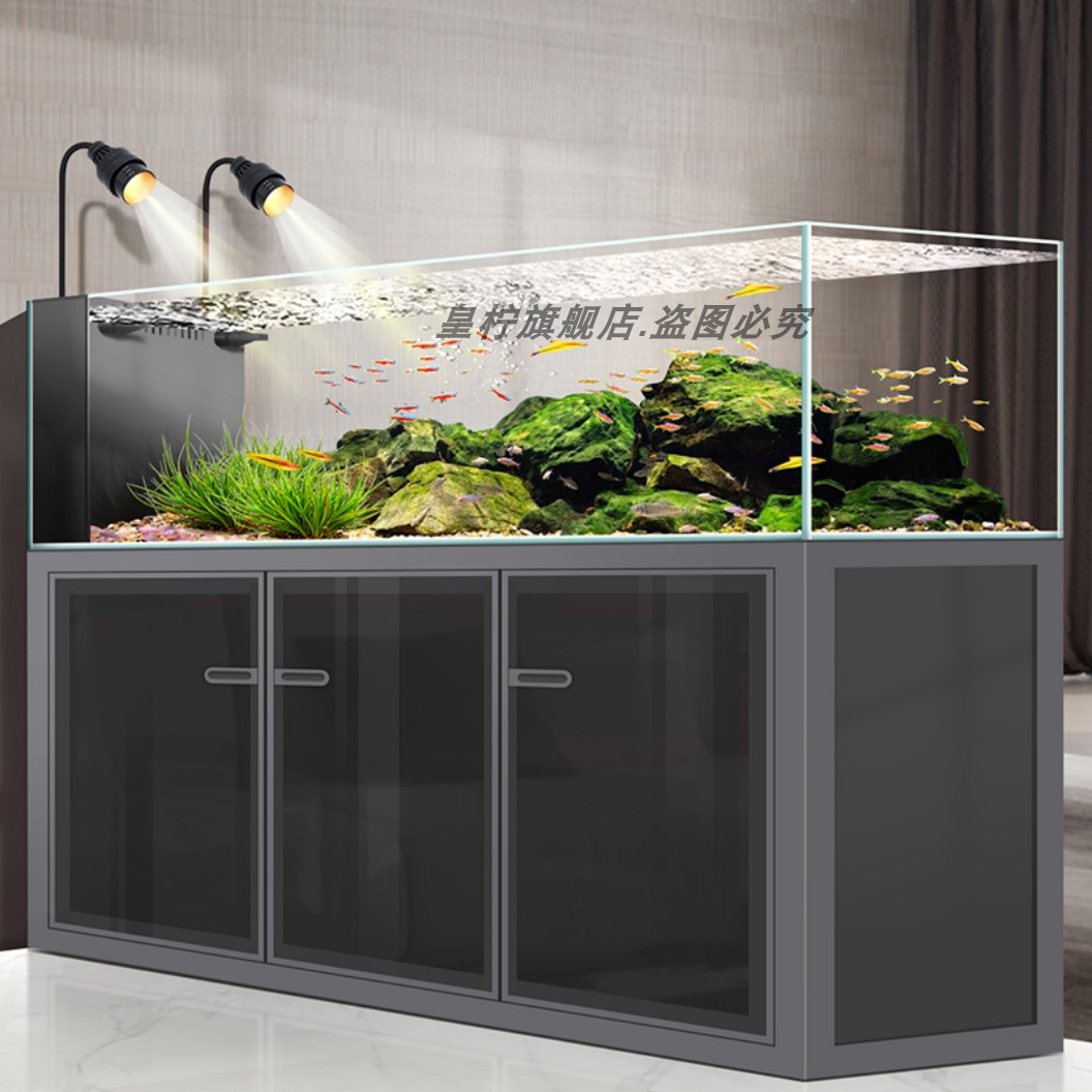 Aquário Yjq Industrial Wind St - Aquarium Plant Echinodorus avaliação e preço