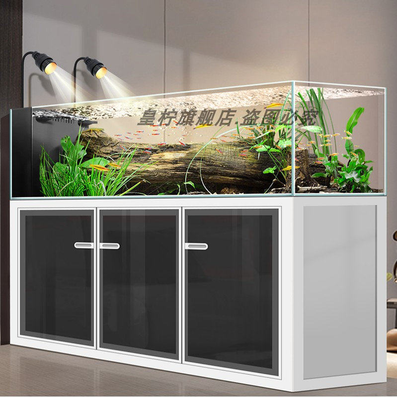 Aquário Yjq Industrial Wind St - Aquarium Plant Echinodorus avaliação e preço