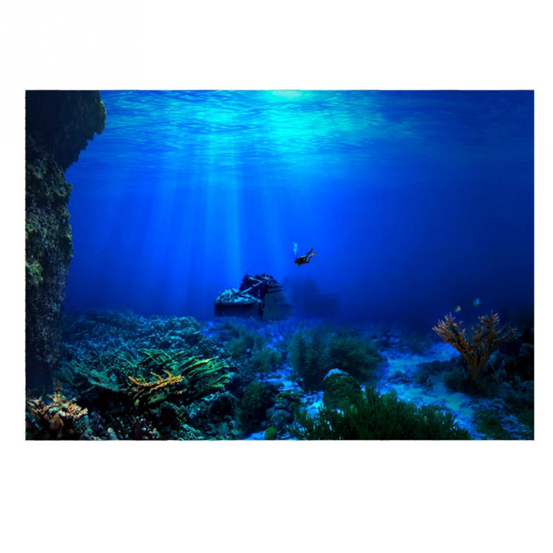 1 pçs fundo do tanque de peixe - Aquarium Planted Background avaliação e preço