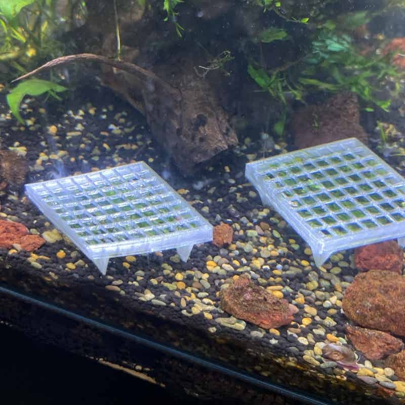 Suporte para Musgo de Aquário, - Aquarium Plant Echinodorus avaliação e preço