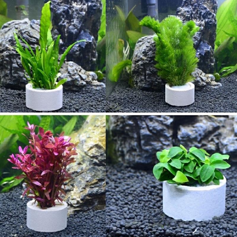 37me 10 peças conjunto anéis f - Aquarium Planted Background avaliação e preço
