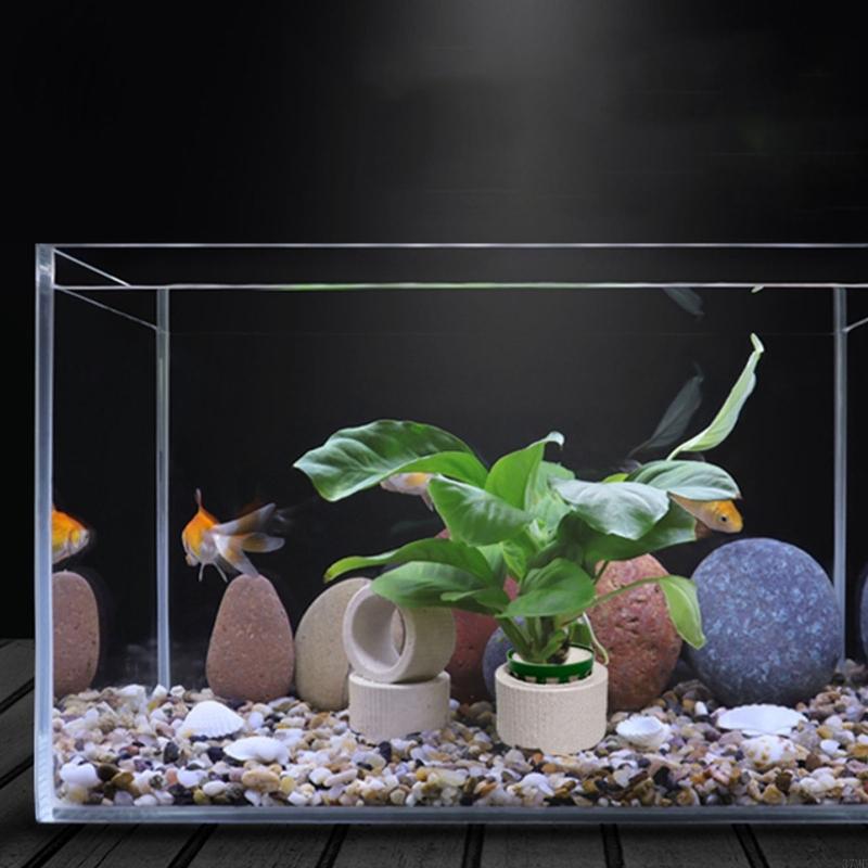 37me 10 peças conjunto anéis f - Aquarium Planted Background avaliação e preço