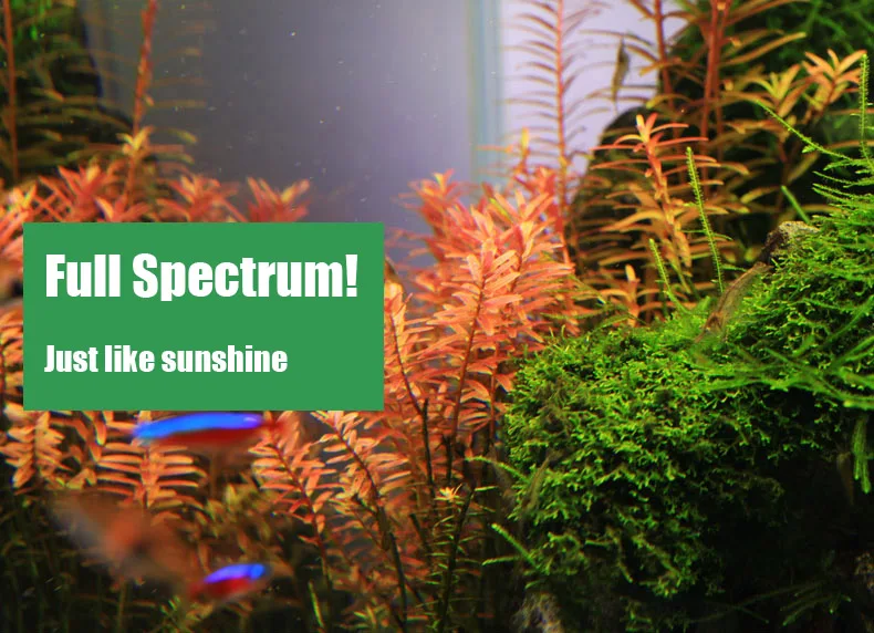 Chihiros Série C ADA Estilo Pl - Aquarium Plant Growth Light avaliação e preço