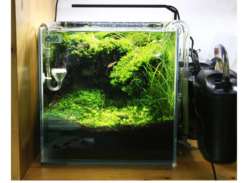 Chihiros Série C ADA Estilo Pl - Aquarium Plant Growth Light avaliação e preço