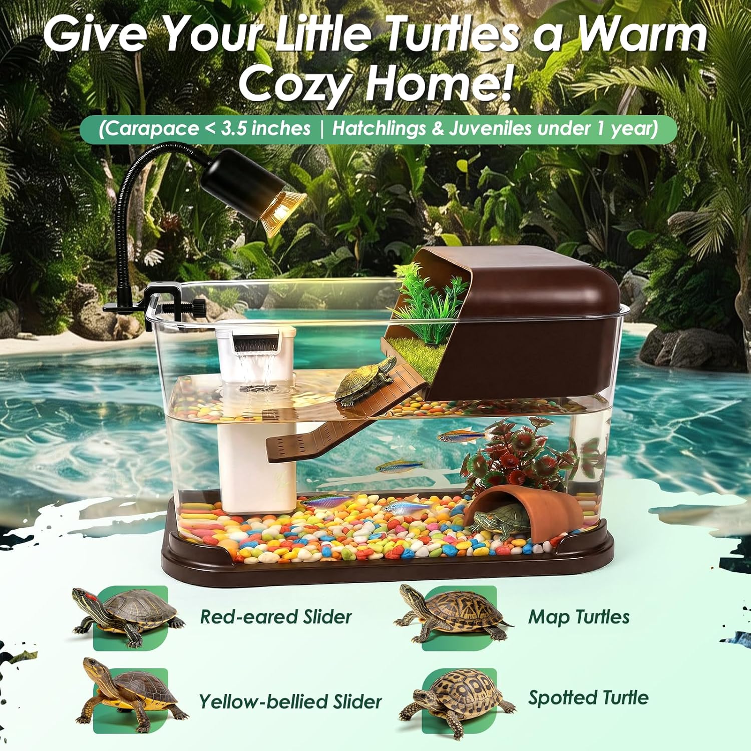 Kit Inicial para Tartarugas, A - Planted Aquarium Starter Kit avaliação e preço