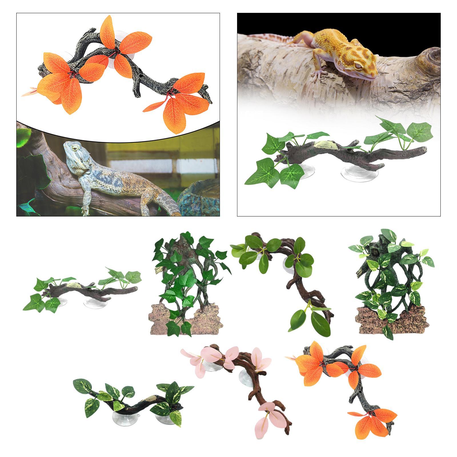 Planta De Lagartixa Simulação  - Aquarium Planted Background avaliação e preço