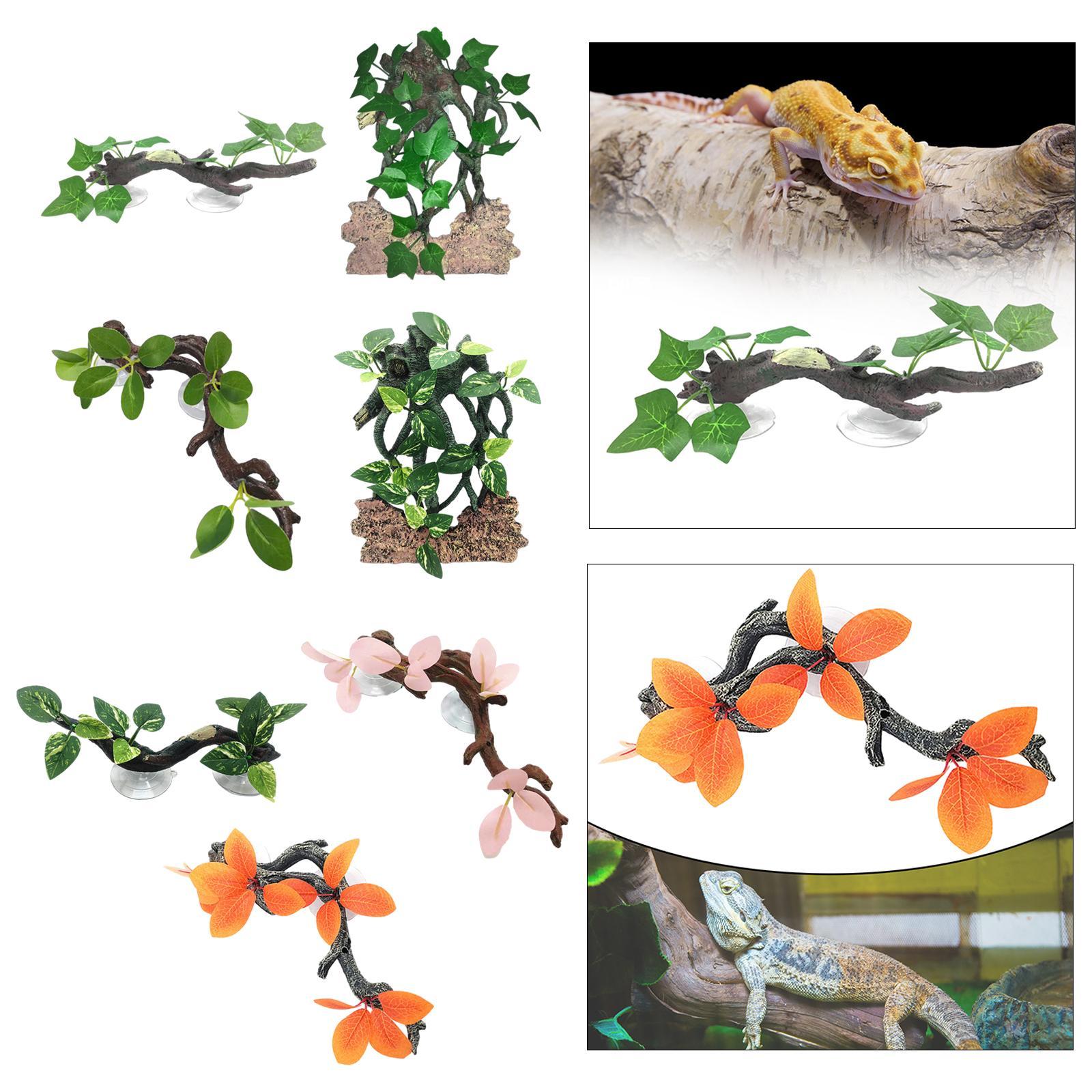 Planta De Lagartixa Simulação  - Aquarium Planted Background avaliação e preço