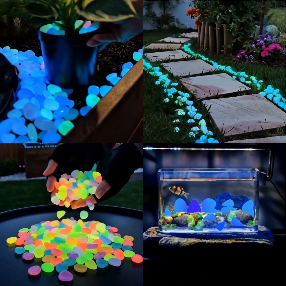 Pedras luminosas coloridas que - Aquarium Planted avaliação e preço