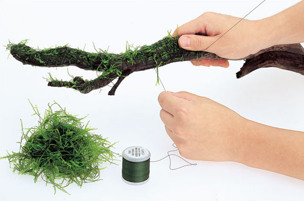 Decoração de Madeira Flutuante - Aquarium Plant Echinodorus avaliação e preço