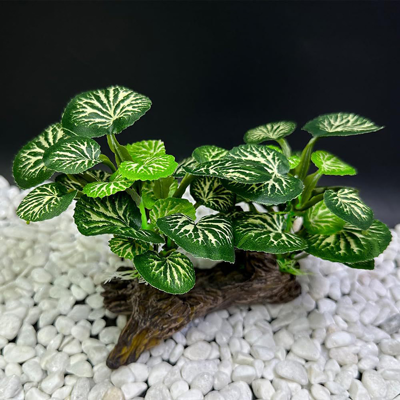 Grama subaquática artificial a - Aquarium Planted Background avaliação e preço