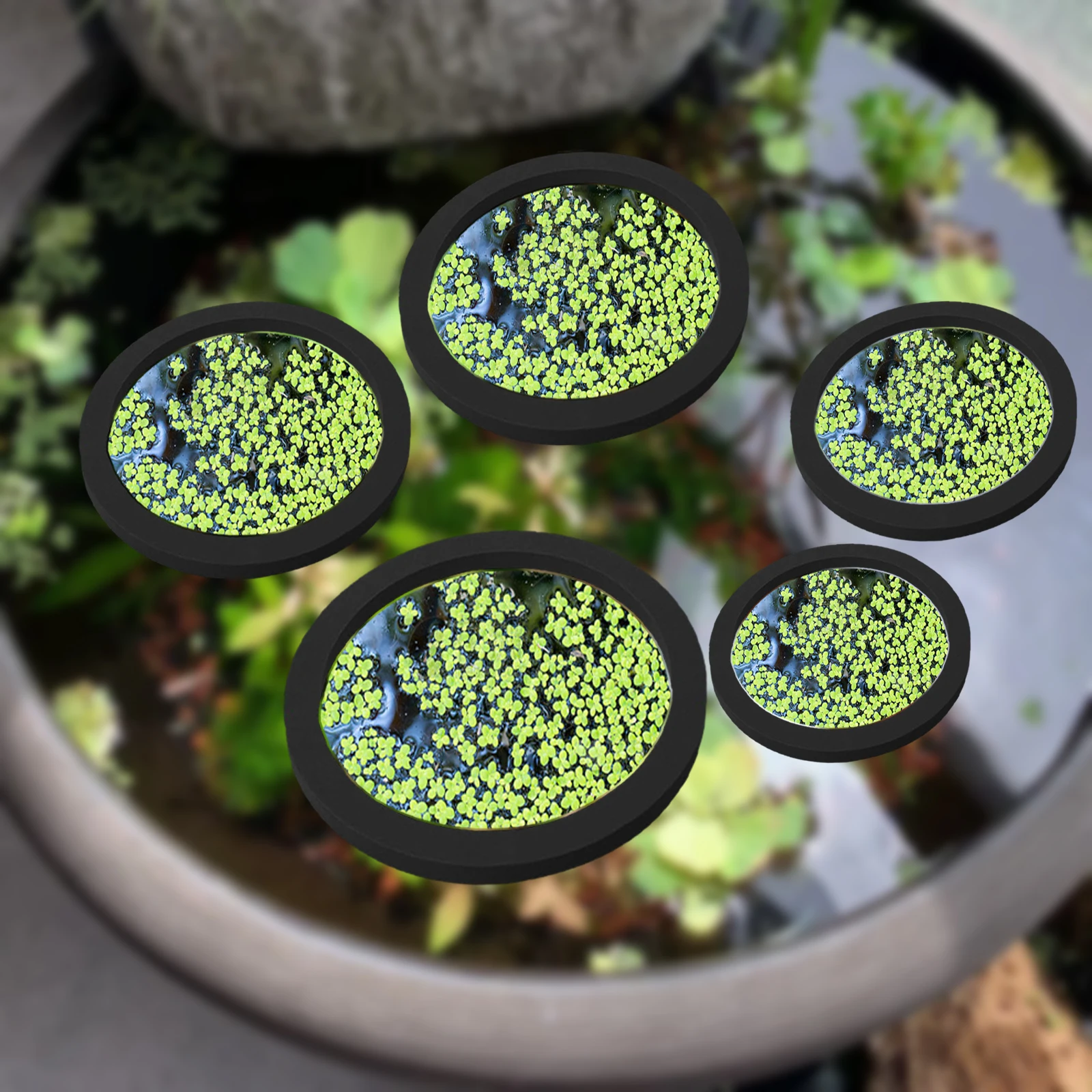 5 pçs eva anel de alimentação  - Aquarium Planted avaliação e preço