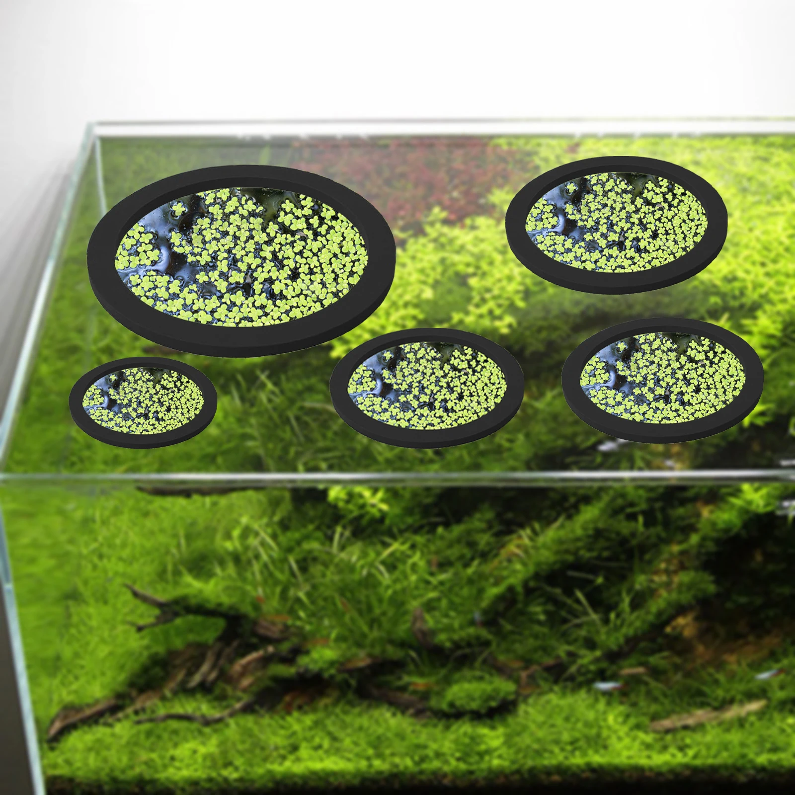 5 pçs eva anel de alimentação  - Aquarium Planted avaliação e preço
