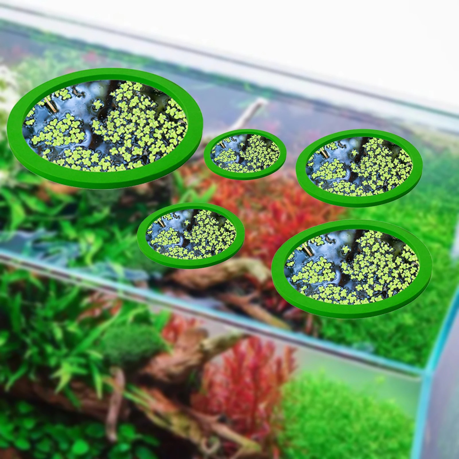 5 pçs eva anel de alimentação  - Aquarium Planted avaliação e preço