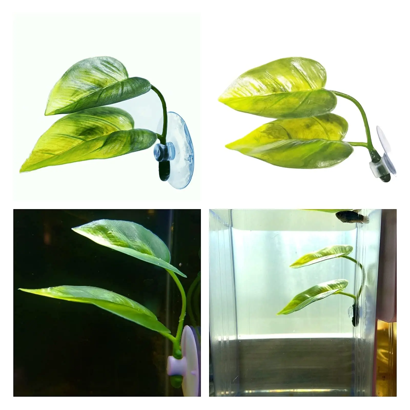 Animais de estimação decoração - Aquarium Plant Roots avaliação e preço