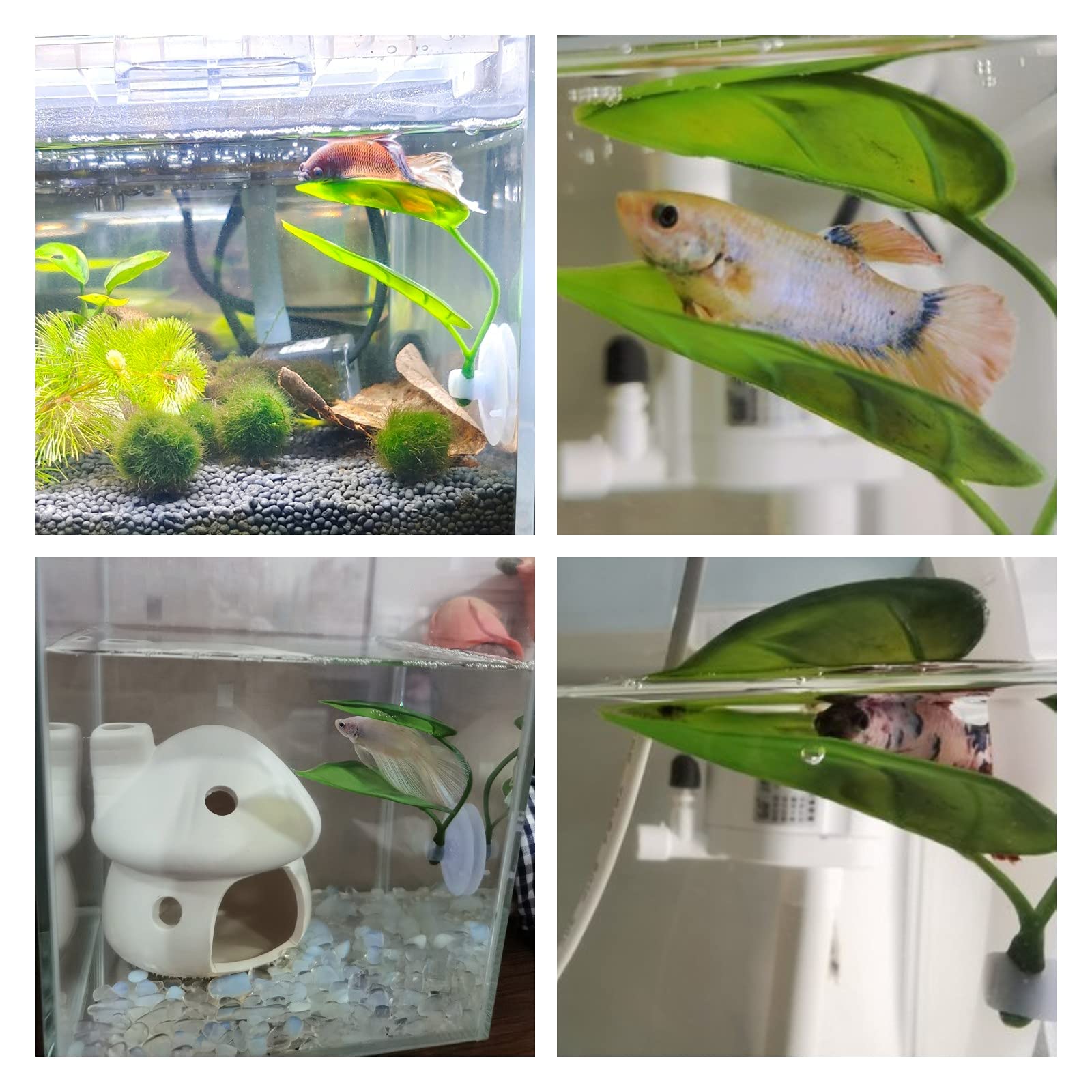 Animais de estimação decoração - Aquarium Plant Roots avaliação e preço