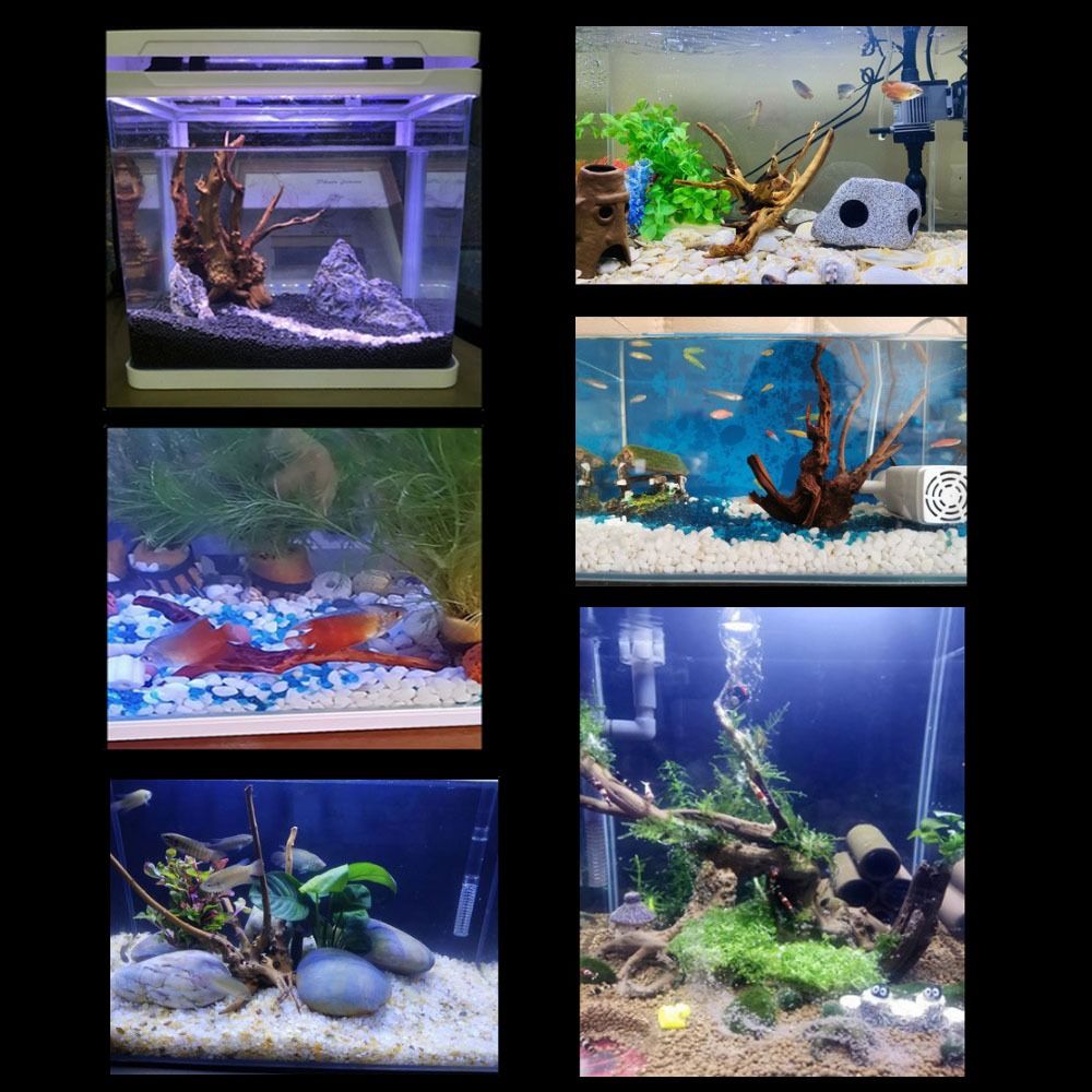 Tronco de Madeira Natural Gran - Aquarium Plant Roots avaliação e preço