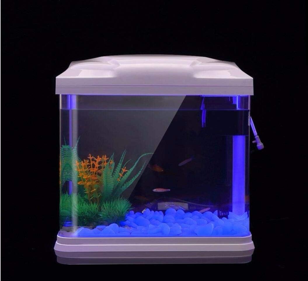 Rochas do tanque de peixes bri - Aquarium Planted avaliação e preço