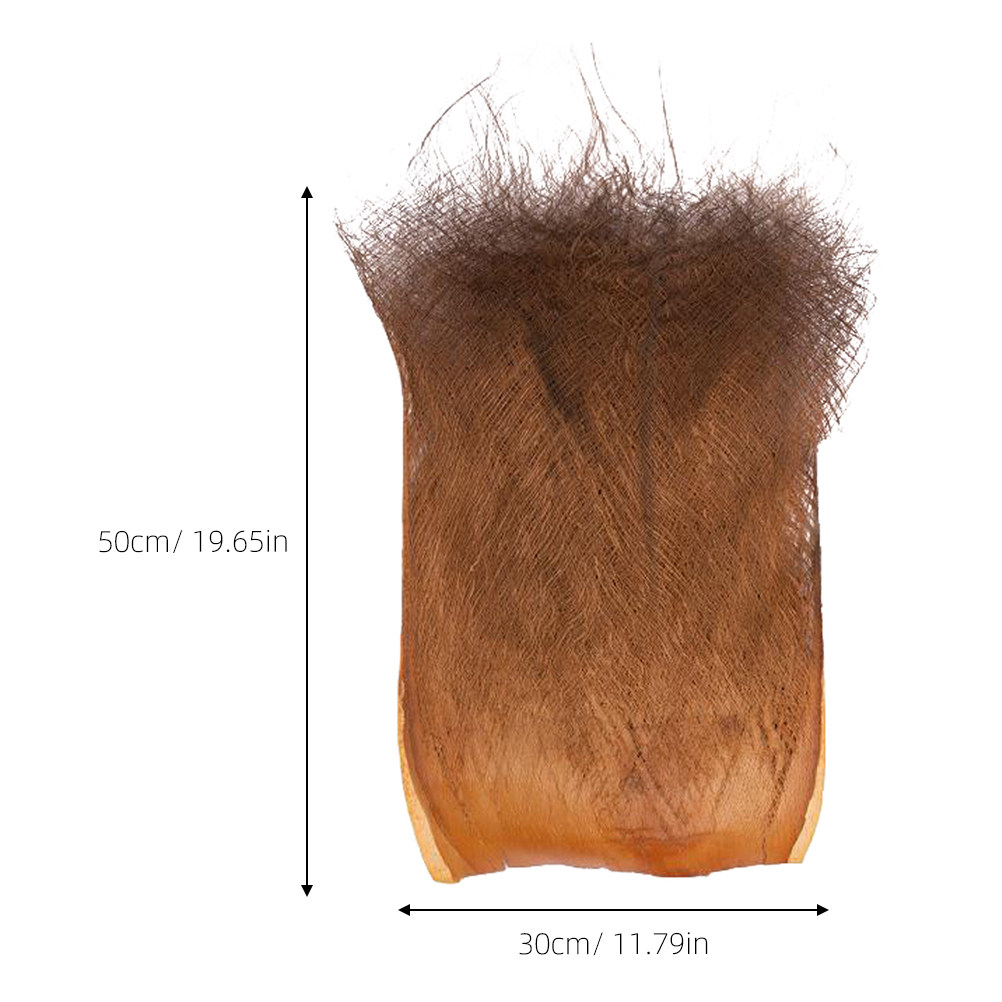 5 Folhas de Casca de Palmeira  - Aquarium Planted Background avaliação e preço