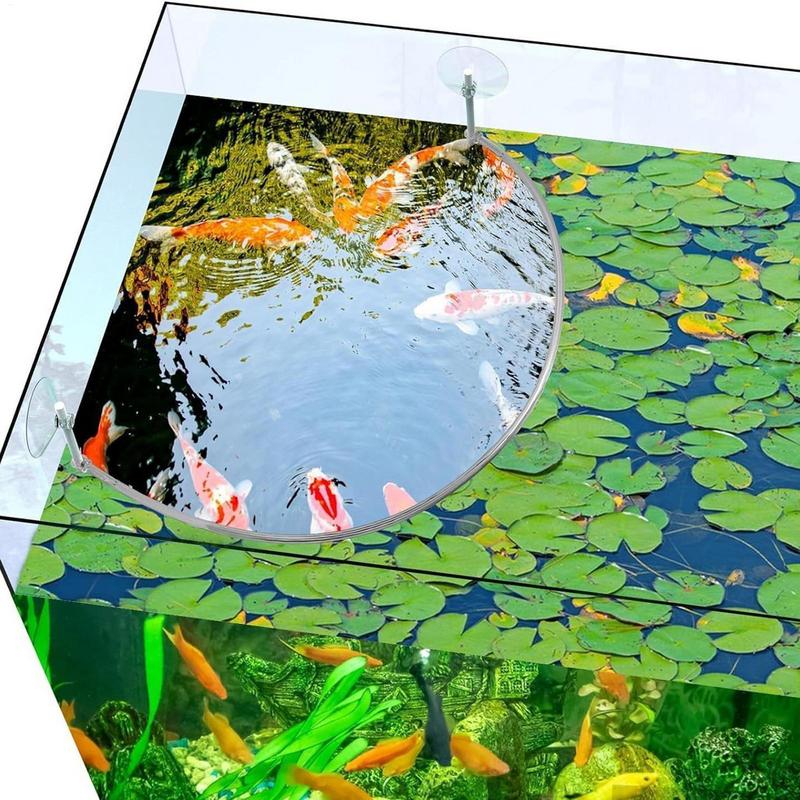 Anel de alimentação de peixes  - Planted Aquarium Equipment avaliação e preço