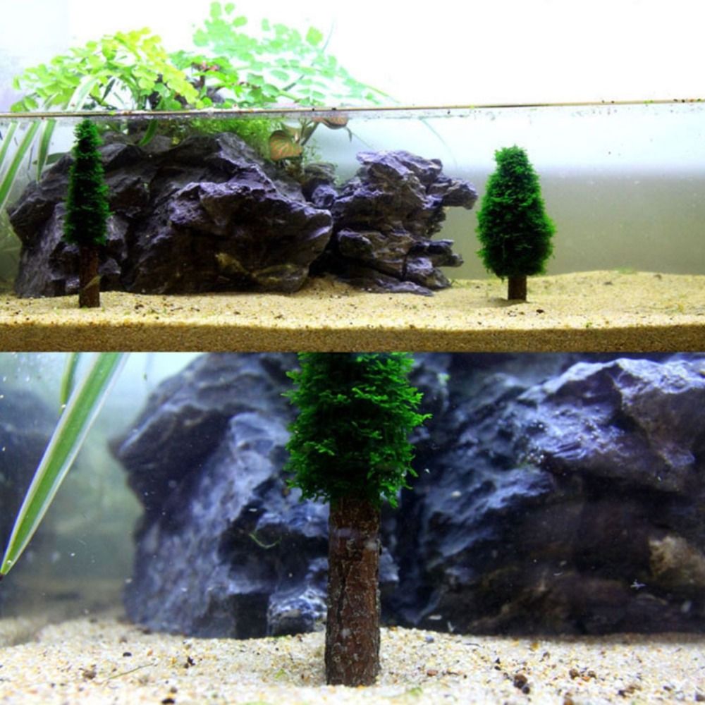 Suporte para Plantas de Musgo  - Aquarium Planted Background avaliação e preço