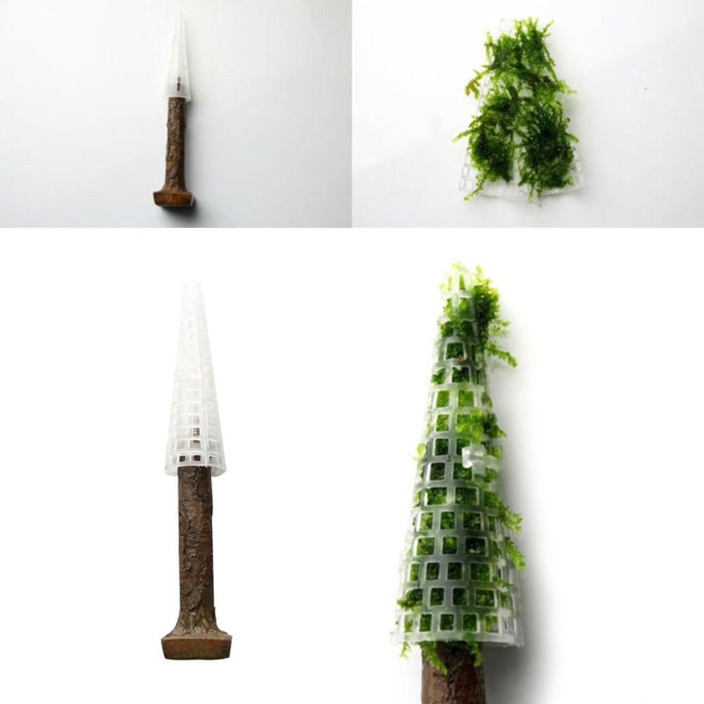 Suporte para Plantas de Musgo  - Aquarium Planted Background avaliação e preço