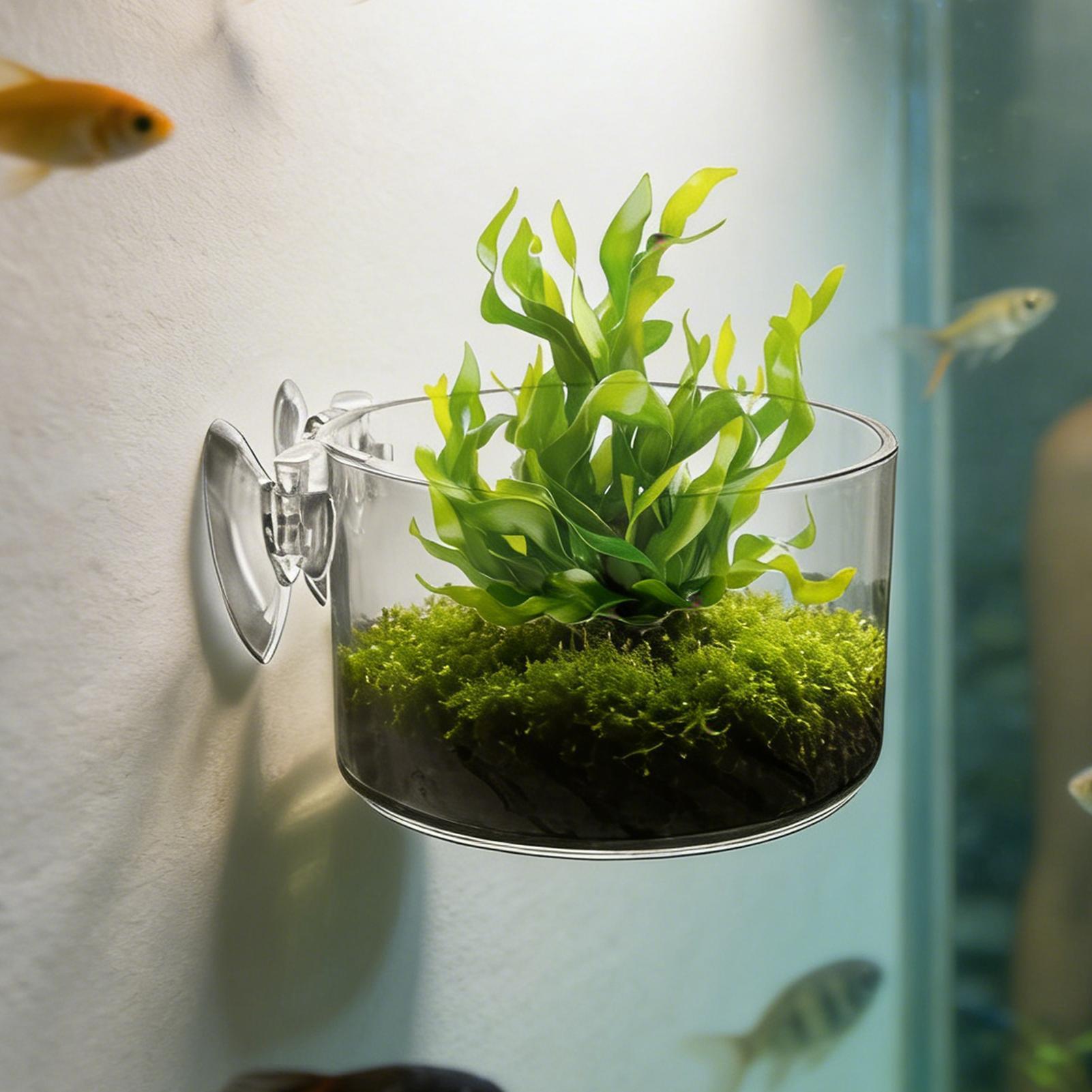 Suporte de Acrílico Transparen - Aquarium Planted Background avaliação e preço