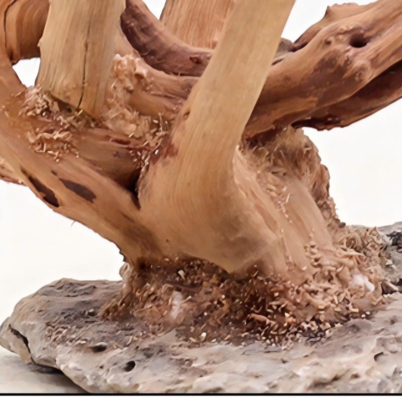 1pc aquário paisagismo ornamen - Aquarium Plant Roots avaliação e preço
