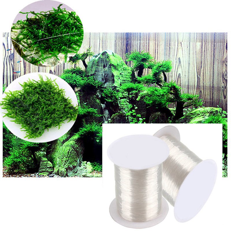 120m diy linha de musgo linha  - Aquarium Plant Echinodorus avaliação e preço
